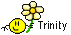 Trinity Smiley – Namen mit Blume